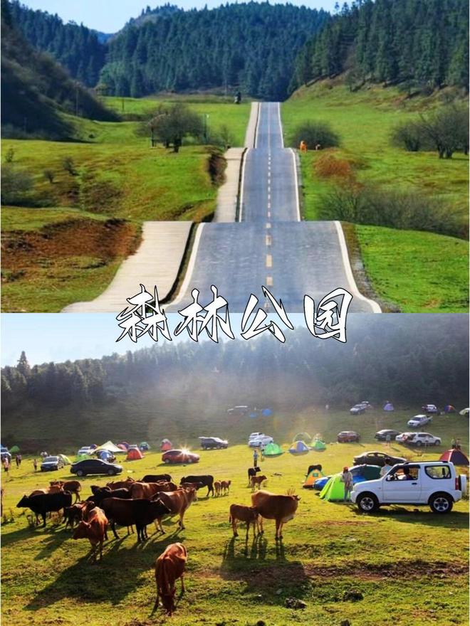 完美规划武隆天生三桥+火锅美食全攻略麻将胡了2试玩模拟器重庆旅游四天三晚(图3)